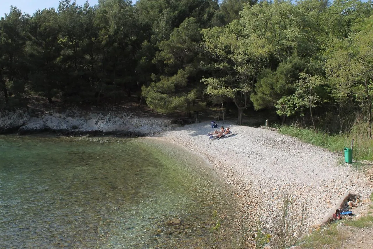 Holiday home Holiday House With A Parking Space Nenadici, Krk - 20649 Nenadici