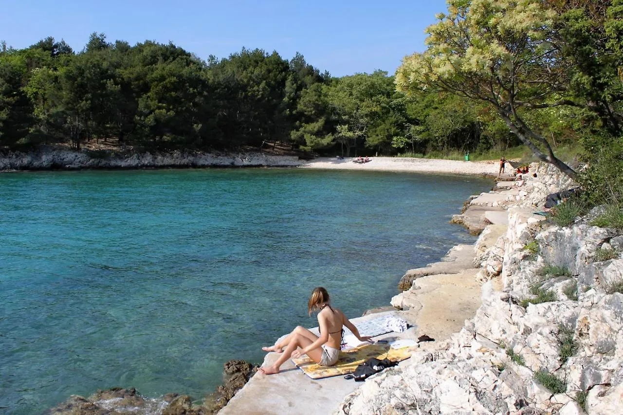 Holiday House With A Parking Space Nenadici, Krk - 20649 Nenadici  Holiday home Nenadici (Krk)